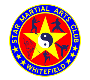 Star martial arts logo
